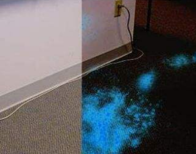 Die wichtige Rolle von Luminol-Pulver in der Verbrechensermittlung