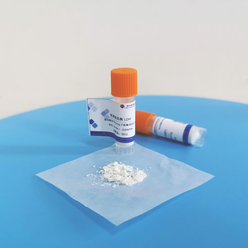 Latest company news about Ist die Glycerolkinase-Aktivität anfällig für Inaktivierung? Verpassen Sie diese Details nicht!