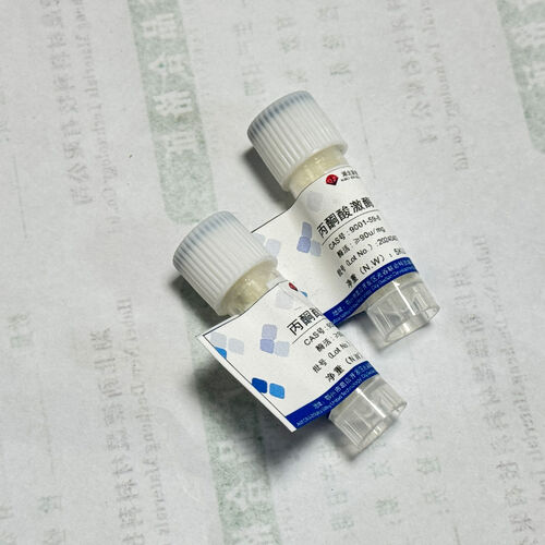 Latest company news about Schutzenzymaktivität: Öffnen eines effizienten biokatalytischen Passworts