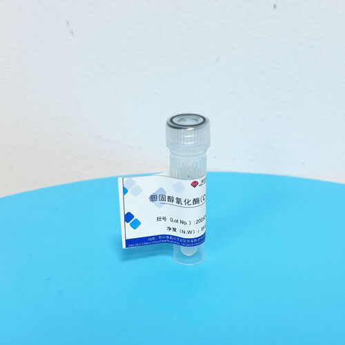 Latest company news about Enzympräparate-Konservierung Geheimnis: Wissenschaftlicher Schutz der katalytischen Aktivität